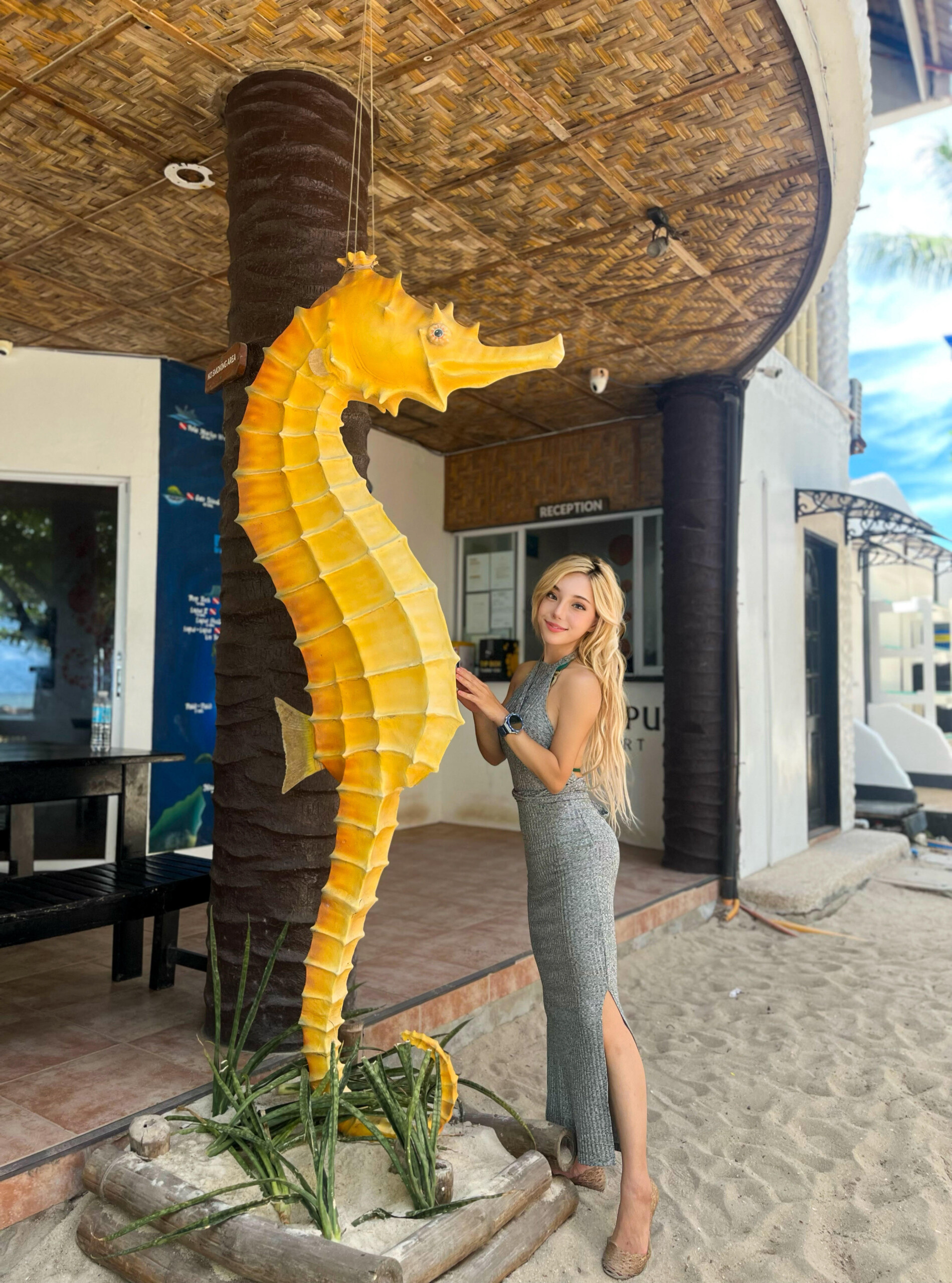 フィリピンタツノオトシゴ-